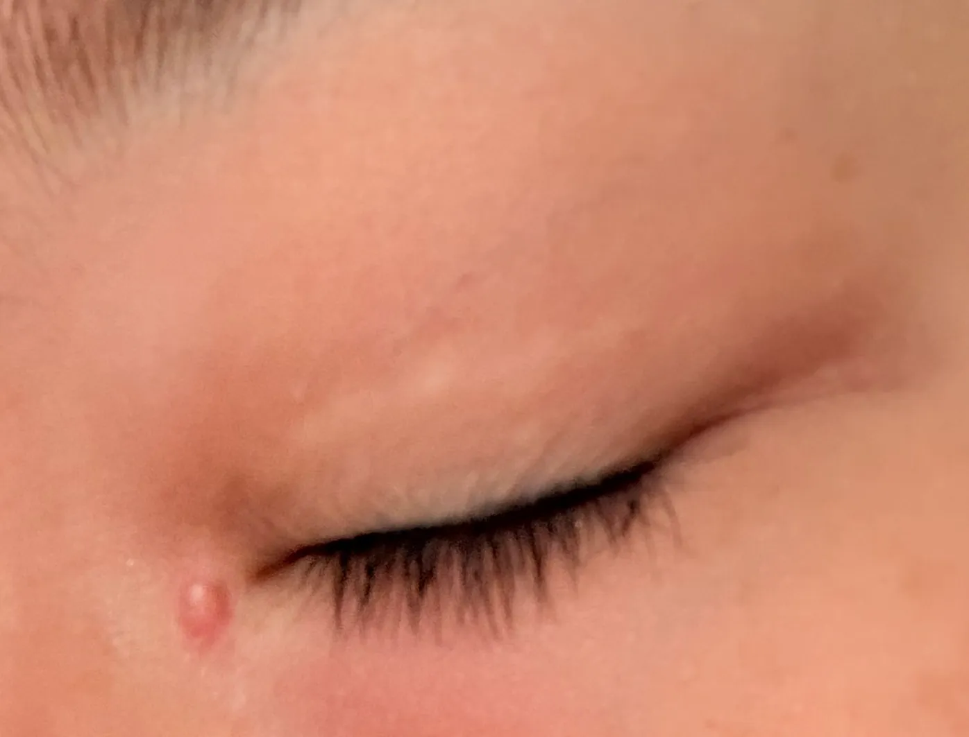 Review photo —  Elsa Chan — Wilmslow
