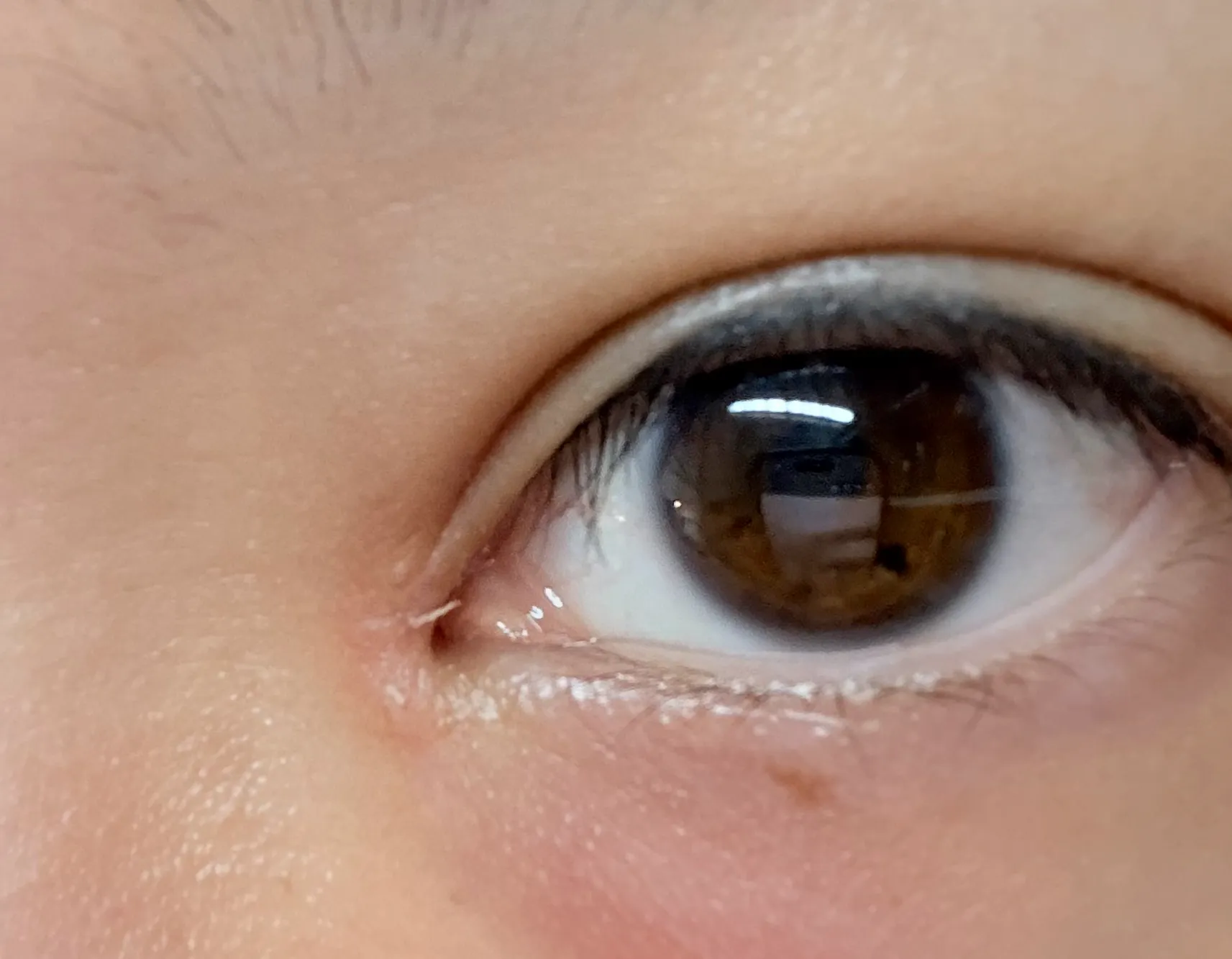 Review photo —  Elsa Chan — Wilmslow